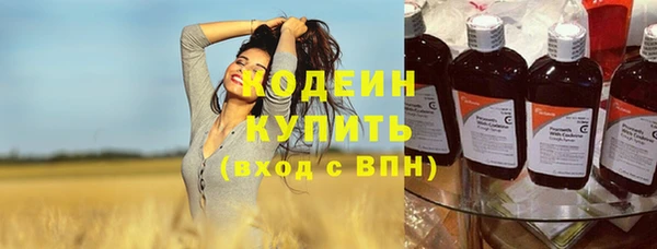 Альфа ПВП Бородино