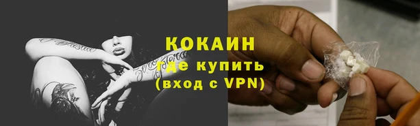 Альфа ПВП Бородино