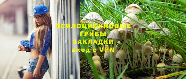 Альфа ПВП Бородино