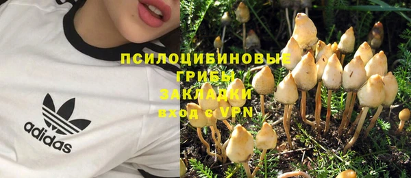Альфа ПВП Бородино