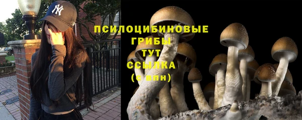Альфа ПВП Бородино
