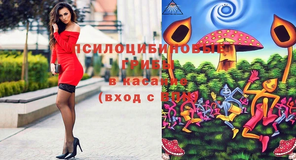 Альфа ПВП Бородино