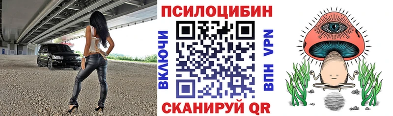 Купить где  Терек  Галлюциногенные грибы Magic Shrooms 